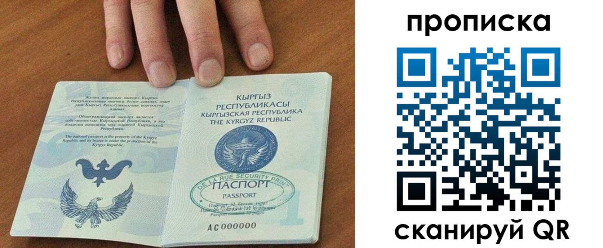 прописка гарантия в Заводоуковске